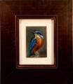 Lovely Kingfisher by Amanda Houston