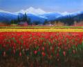 Tulips by Mark Boyle