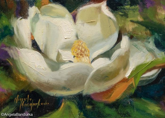 Magnolia Embrace by Angela Bandurka