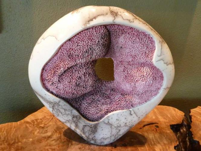 Coral Sculpture, short by Jeff Margolin