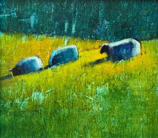 Three Sheep, Study by Kathy Gale