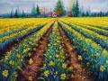 Valiant Field of Daffodils by Kimberly Adams