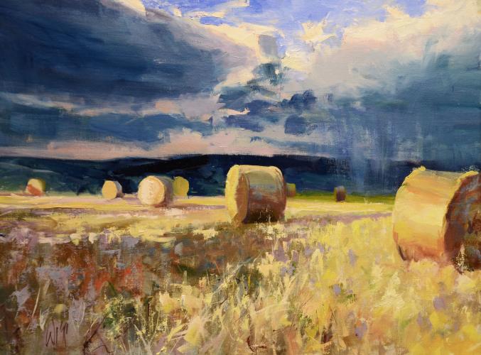Stormy Hay Field by Mike Wise