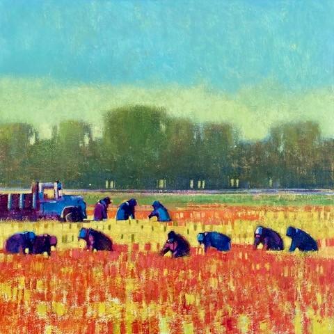 Harvesting Hope by Kathy Gale