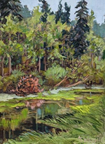 Rainforest Reflections by Ann Willsie