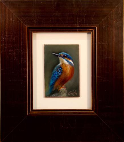 Lovely Kingfisher by Amanda Houston
