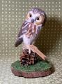 Saw Whet Owl by Michelle Waldele - Felted Creations