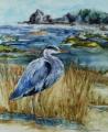 Blue Waiting by Denise Cole - Watercolors