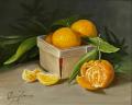 Tangerines by Cary Jurriaans