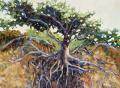 Tree of Life by Ann Willsie