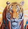 Temple Tiger by Thomas McCafferty