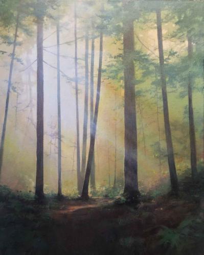 Sunlit Grove by JM Brodrick
