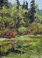 Rainforest Reflections by Ann Willsie