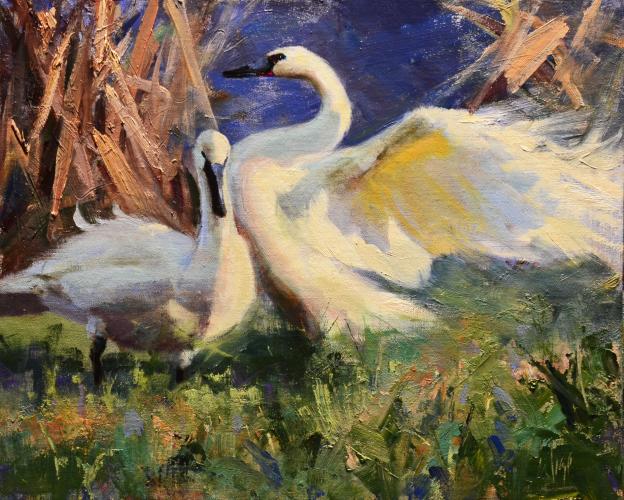 Two Swans by Mike Wise