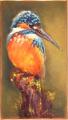 Peaceful Kingfisher by Amanda Houston