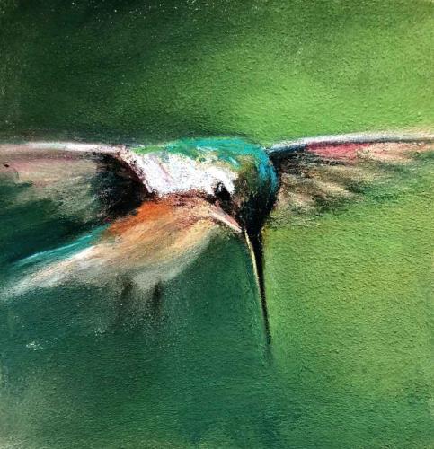Attentive Hummingbird by Amanda Houston