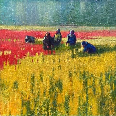 Harvesting Tulips by Kathy Gale