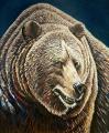 Madison Valley Grizzly by Thomas McCafferty